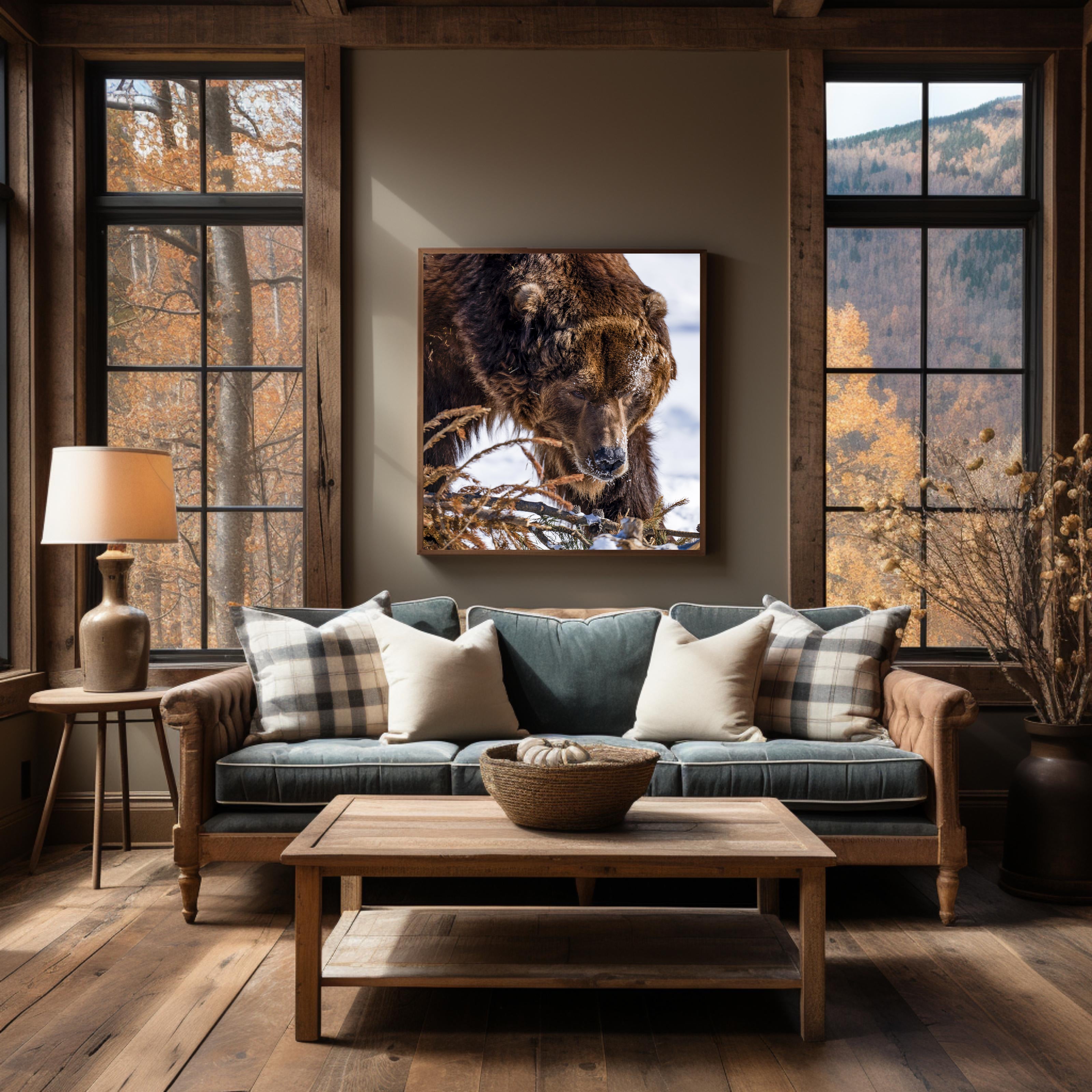 Wildlife Fine Art Wall Art