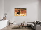 150 x 100 cm, Brown Floater Frame deer