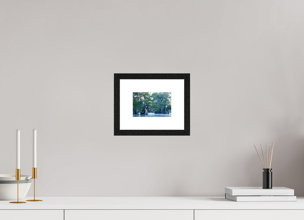 15 x 10 cm, Black Frames The Mystery of Caddo Lake Fine Art