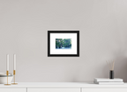 15 x 10 cm, Black Frames The Mystery of Caddo Lake Fine Art
