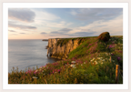 Bempton Cliffs