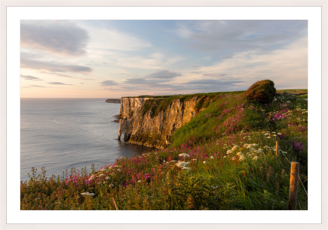 Bempton Cliffs