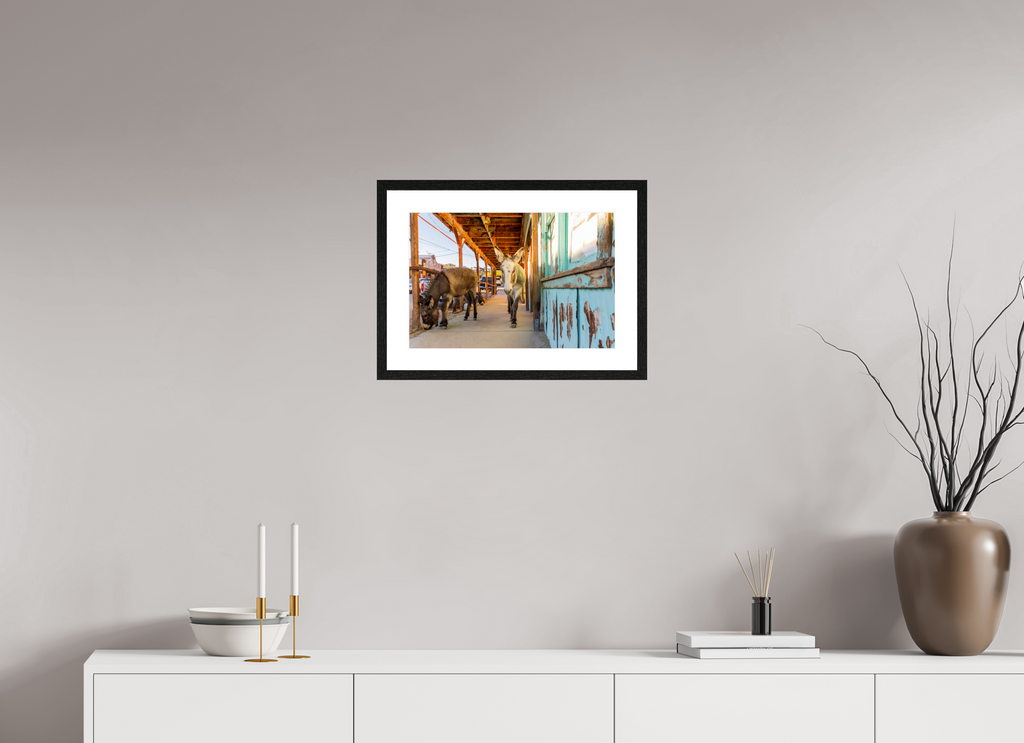 45 x 30 cm, Black Frames Burros of Oatman