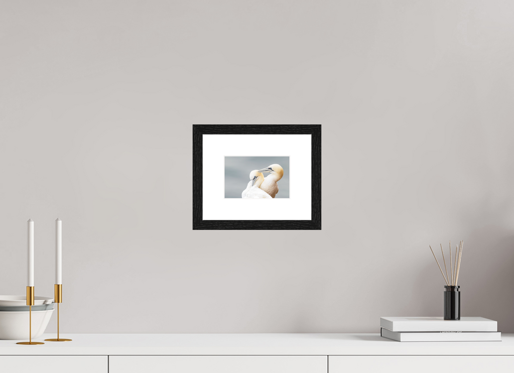 15 x 10 cm, Black Frames Ganetts