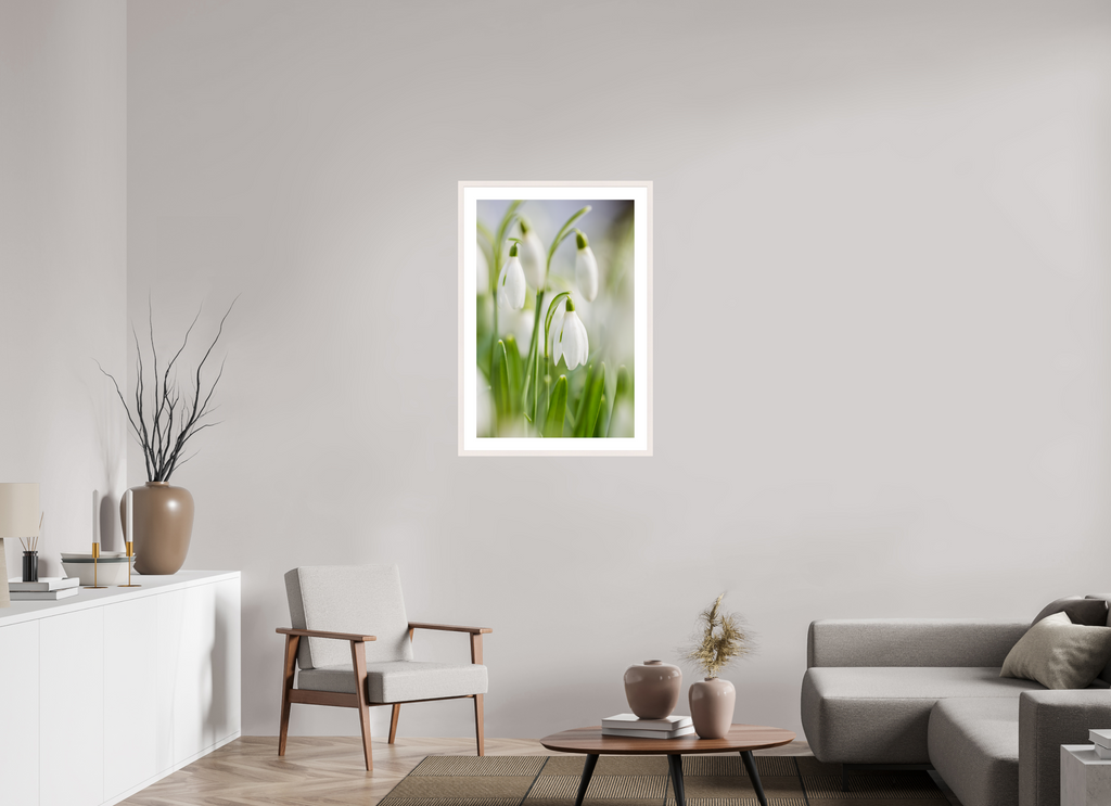 60 x 90 cm, White Maple 20 mm snowdrops