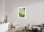60 x 90 cm, White Maple 20 mm snowdrops