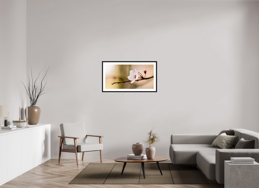 98.7 x 50 cm, Black Frames Cherry Blossom