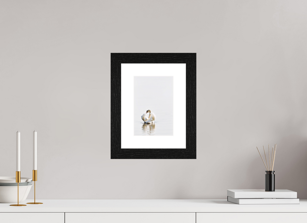 15 x 22.3 cm, Hamburg 40 mm frame Swan at Dawn