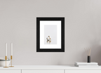 15 x 22.3 cm, Hamburg 40 mm frame Swan at Dawn
