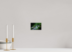 15 x 10 cm, Photo Print Under Acrylic Glass Rivelin Valley Water Fall