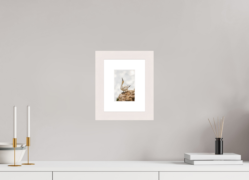 10 x 15 cm, White Frame Gannet Strut