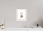 10 x 15 cm, White Frame Gannet Strut