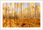 Main image Golden Aspen Trees Fine Art
