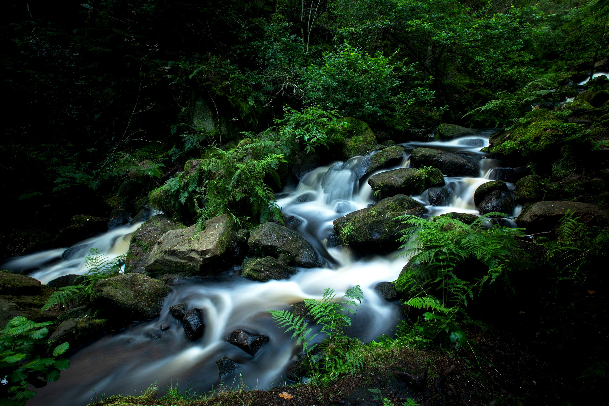 Main image Rivelin Valley Water Fall