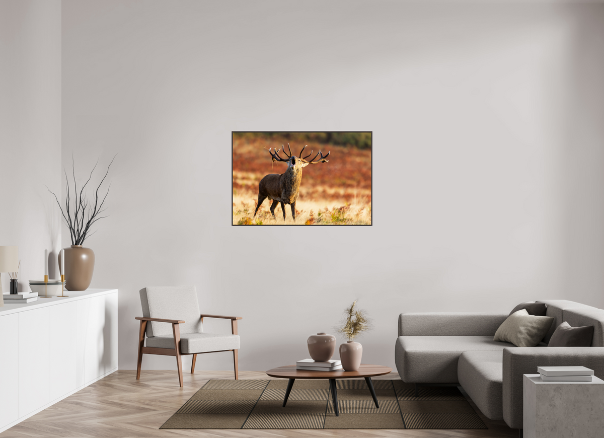 120 x 80 cm, Brown Floater Frame deer