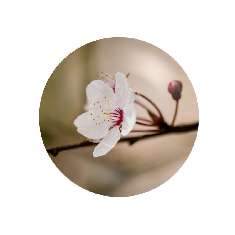 Spring Awakening Coffee Mug and Saucer