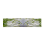 Snowdrops