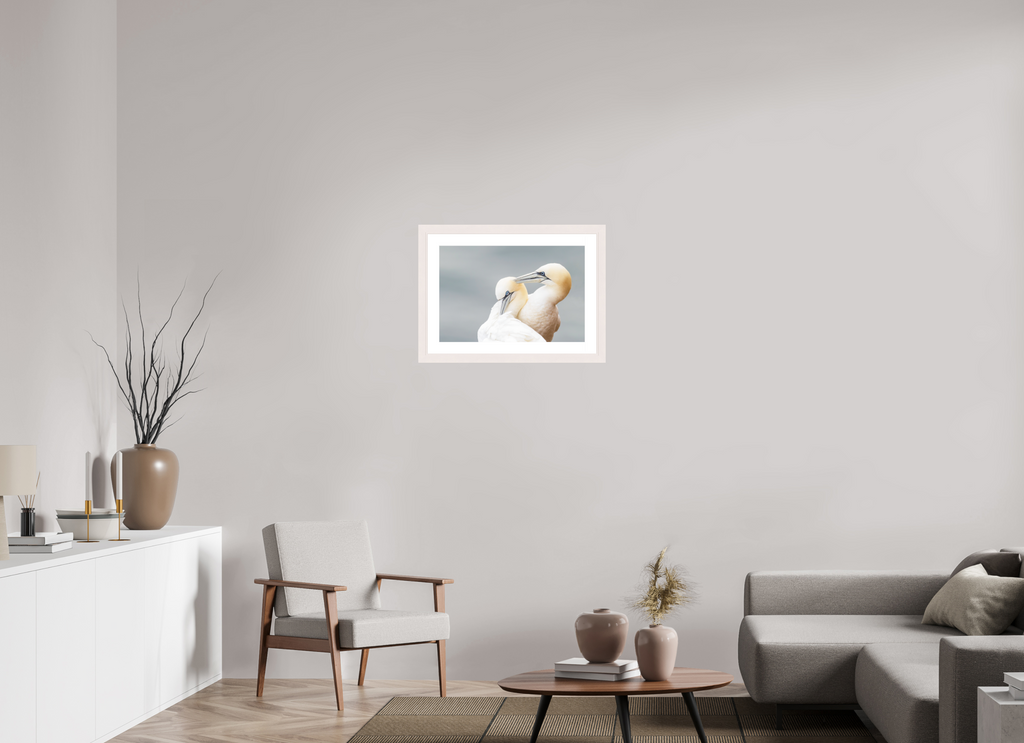 60 x 40 cm, White Frame Ganetts