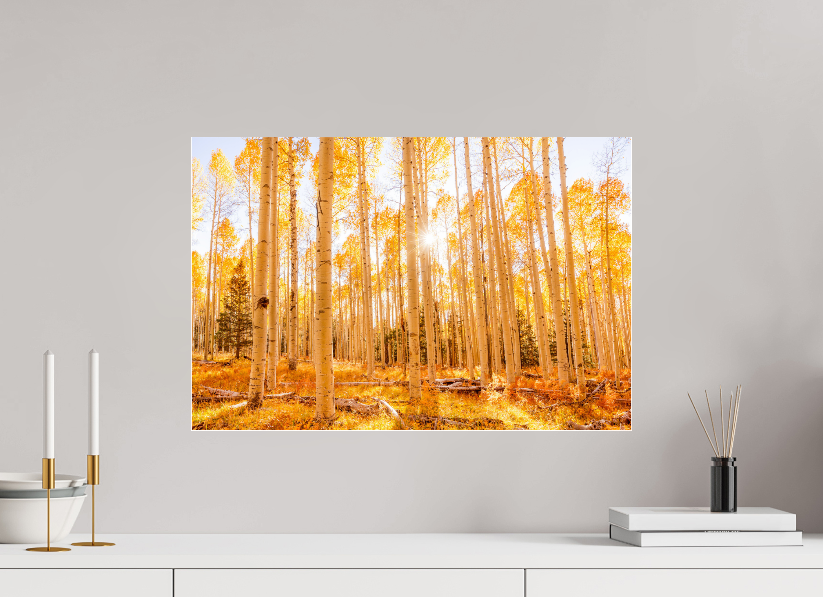 60 x 40 cm, Photo Print Under Acrylic Glass Golden Aspens