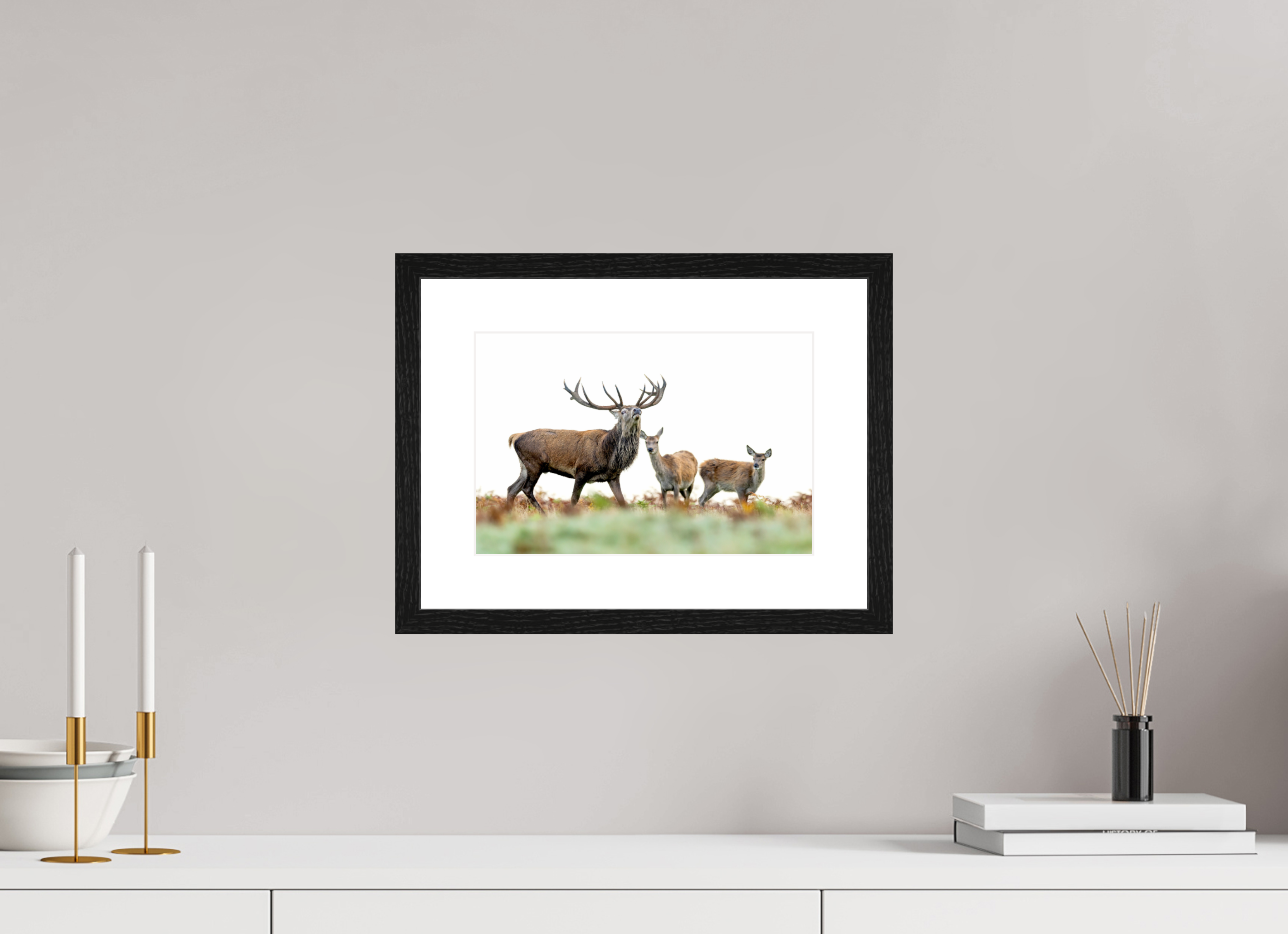 30 x 20 cm, Black Frames Deer Rut
