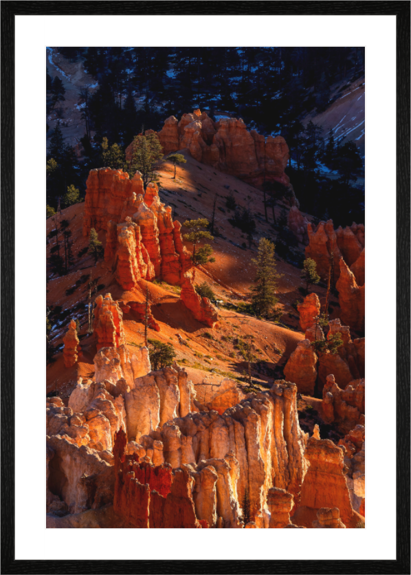 Main image The Hoodoos Of Bryce Canyon