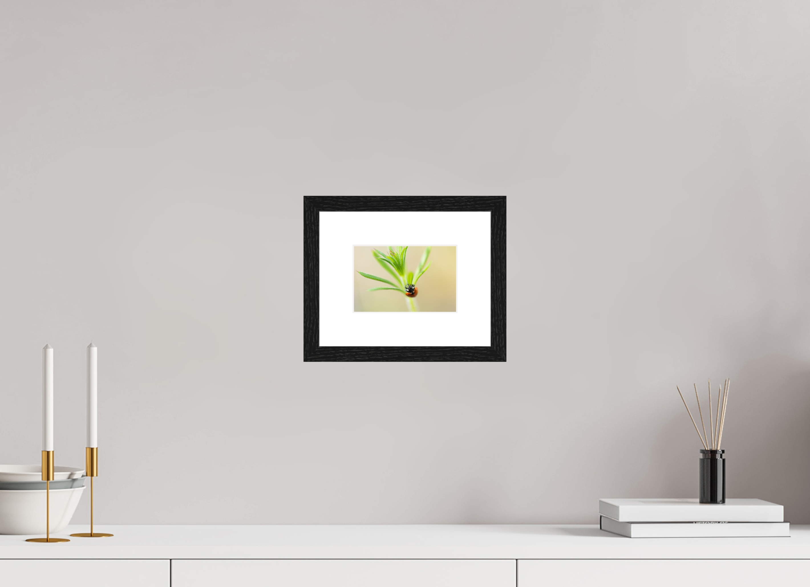 15 x 10 cm, Black Frames Lady Bird