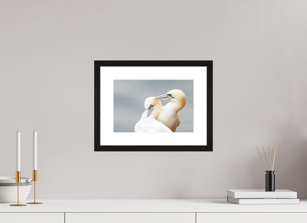 30 x 20 cm, Black Frames Ganetts