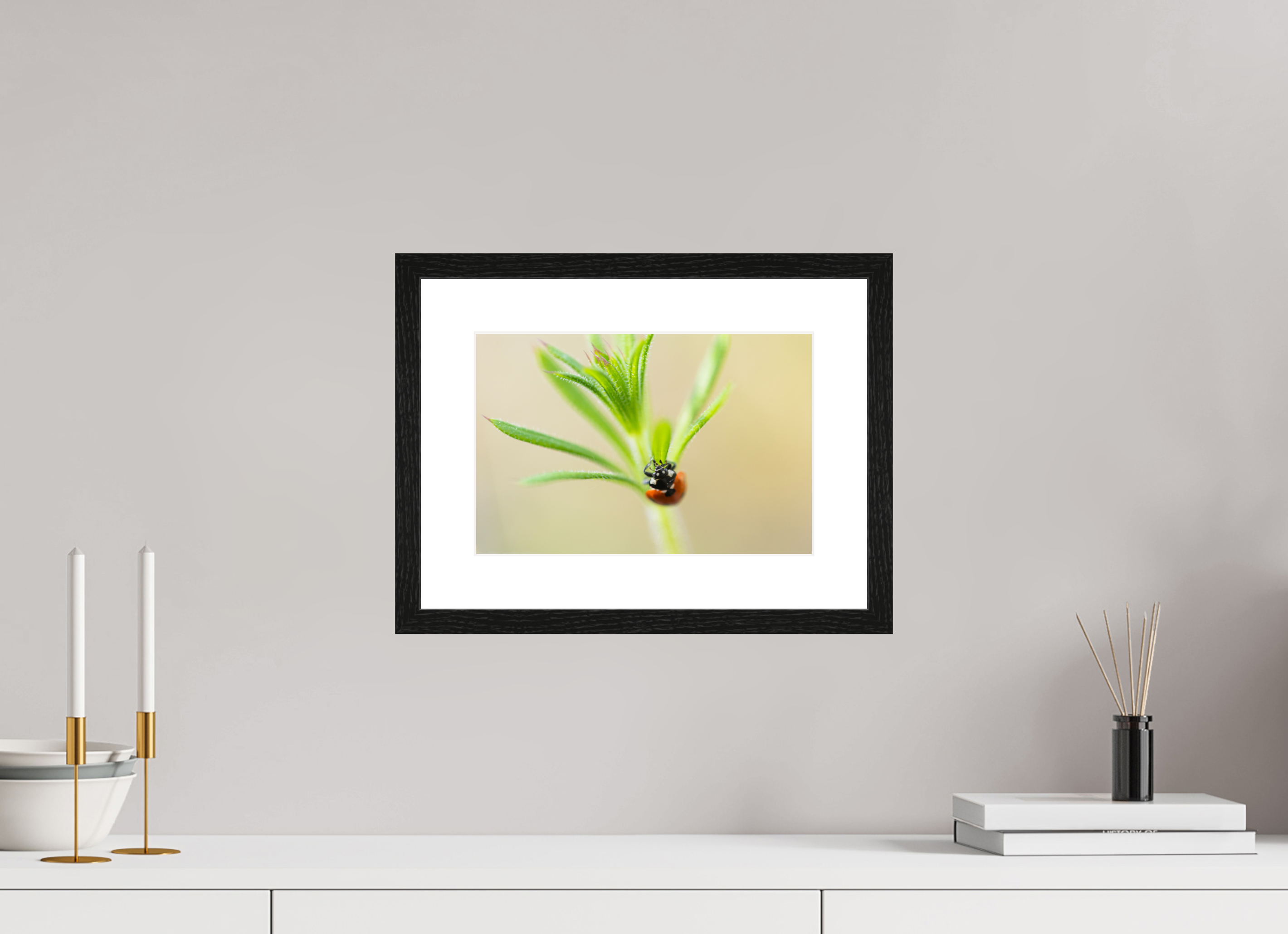 30 x 20 cm, Black Frames Lady Bird
