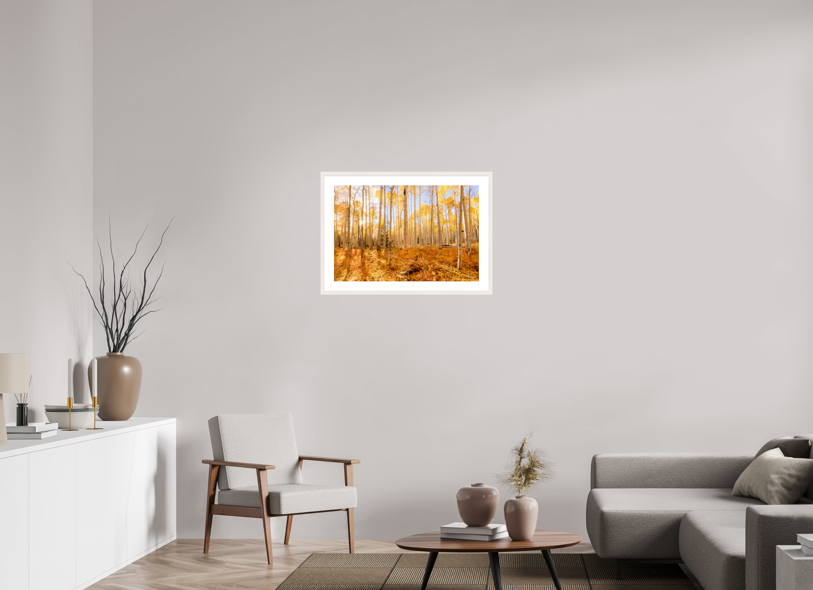75 x 50 cm, White Maple 20 mm Golden Aspen Trees Fine Art