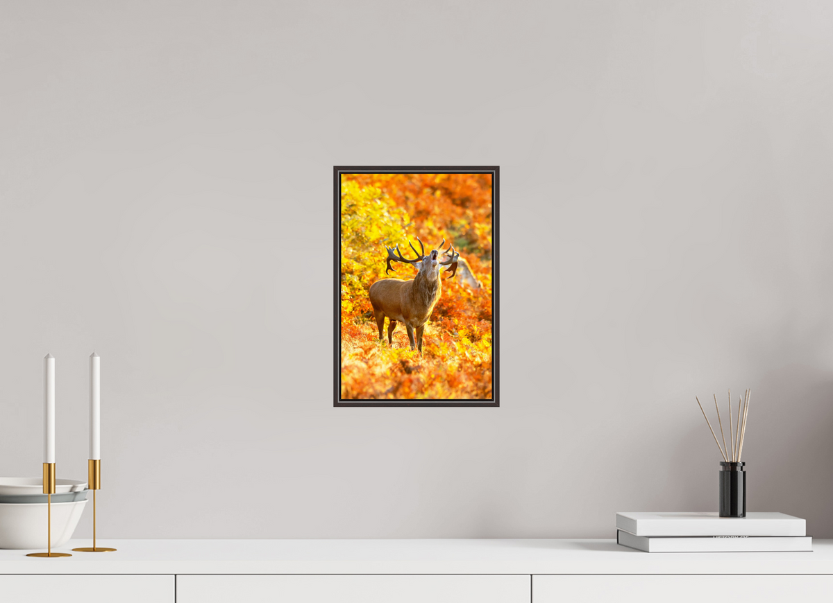 20 x 30 cm, Brown Floater Frame deer
