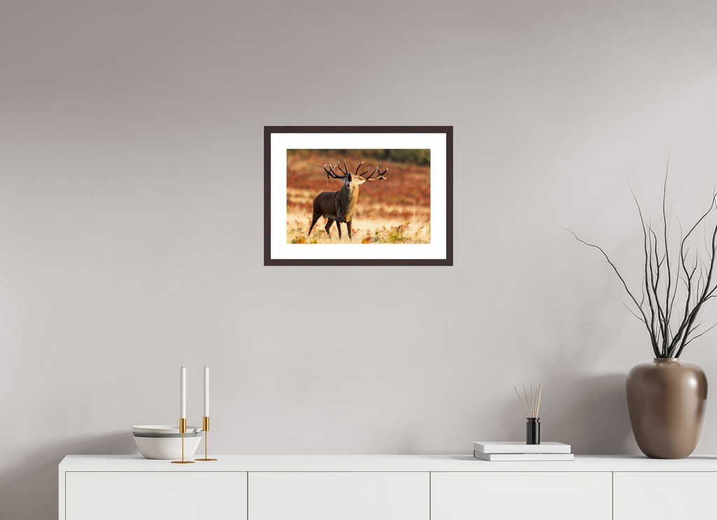 45 x 30 cm, Brown Frame deer