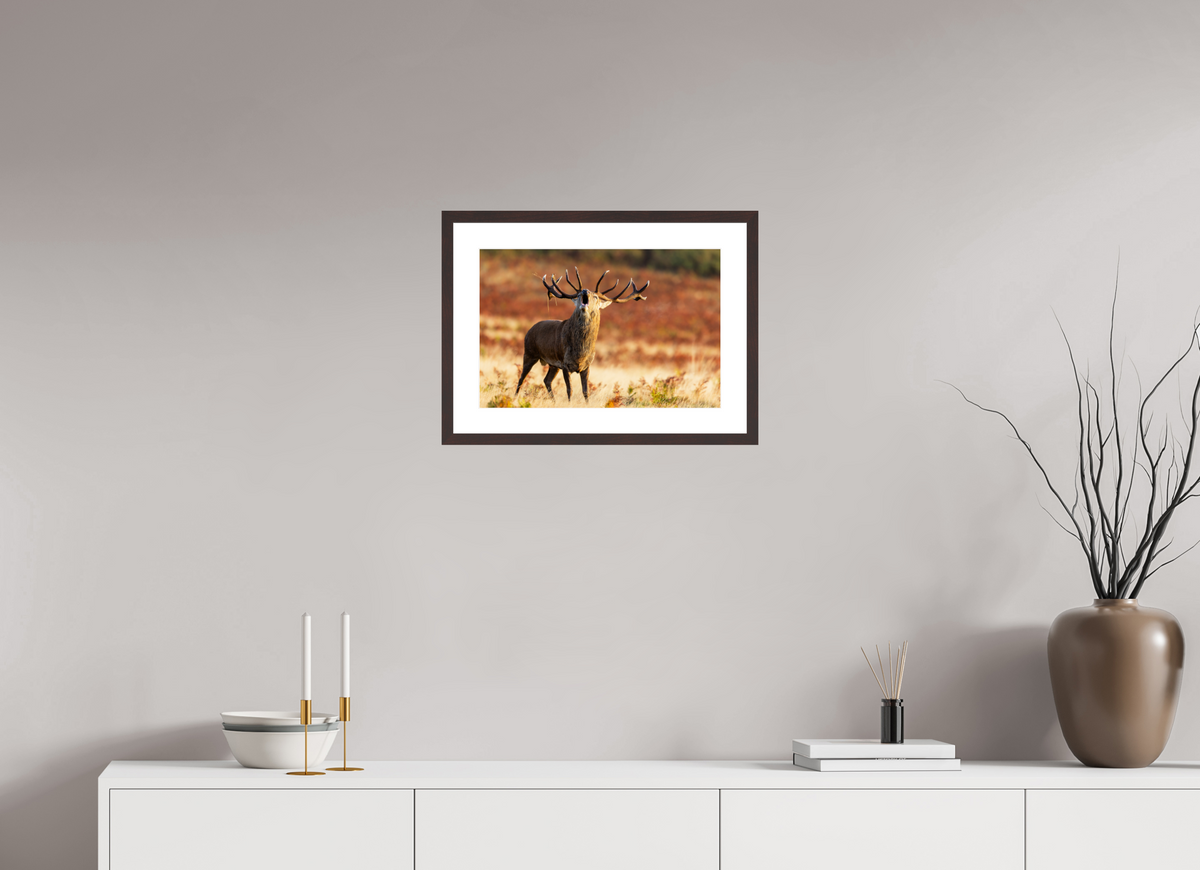 45 x 30 cm, Brown Frame deer