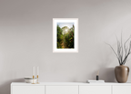 30 x 45 cm, White Maple 20 mm Wild Flowers