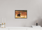 30 x 20 cm, Brown Floater Frame roaring deer