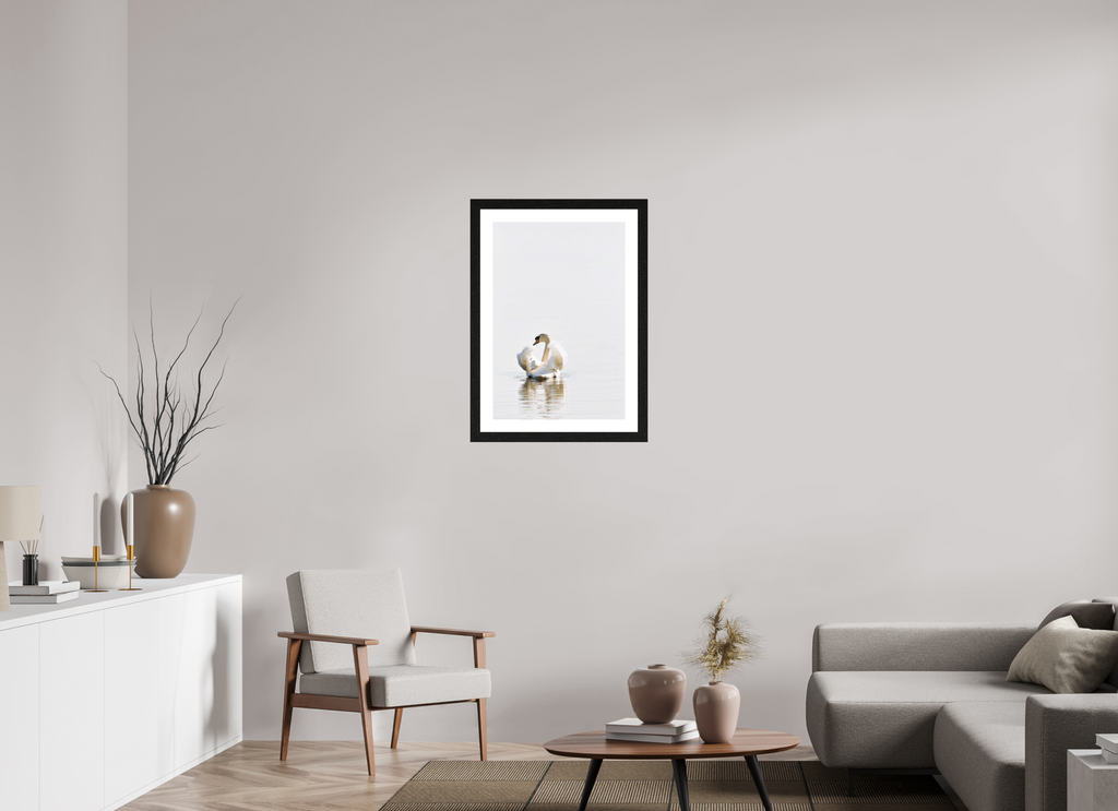 50 x 74.3 cm, Hamburg 40 mm frame Swan at Dawn