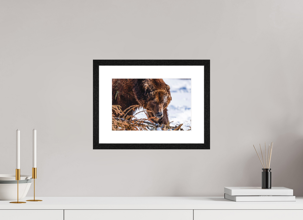 Alaskan Grizzly Bear Wall Art Example - Perfect Captures Photography