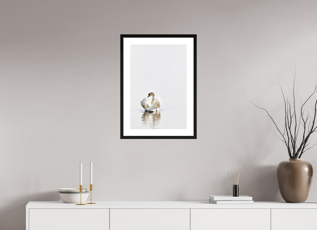 40 x 59.4 cm, Black Frames Swan at Dawn
