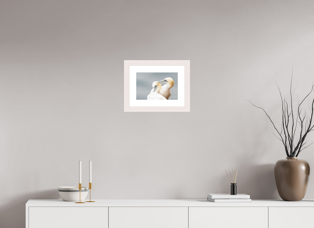 30 x 20 cm, White Frame Ganetts