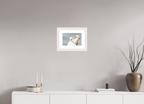 30 x 20 cm, White Frame Ganetts