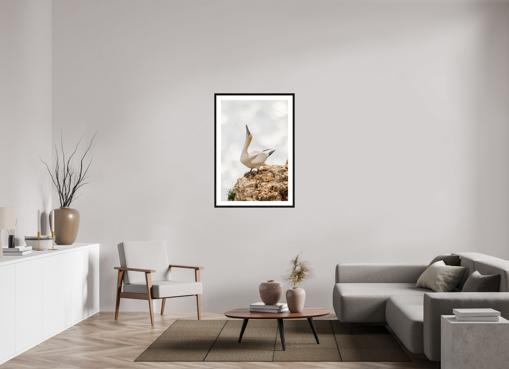 70 x 105 cm, Black Frames Gannet Strut