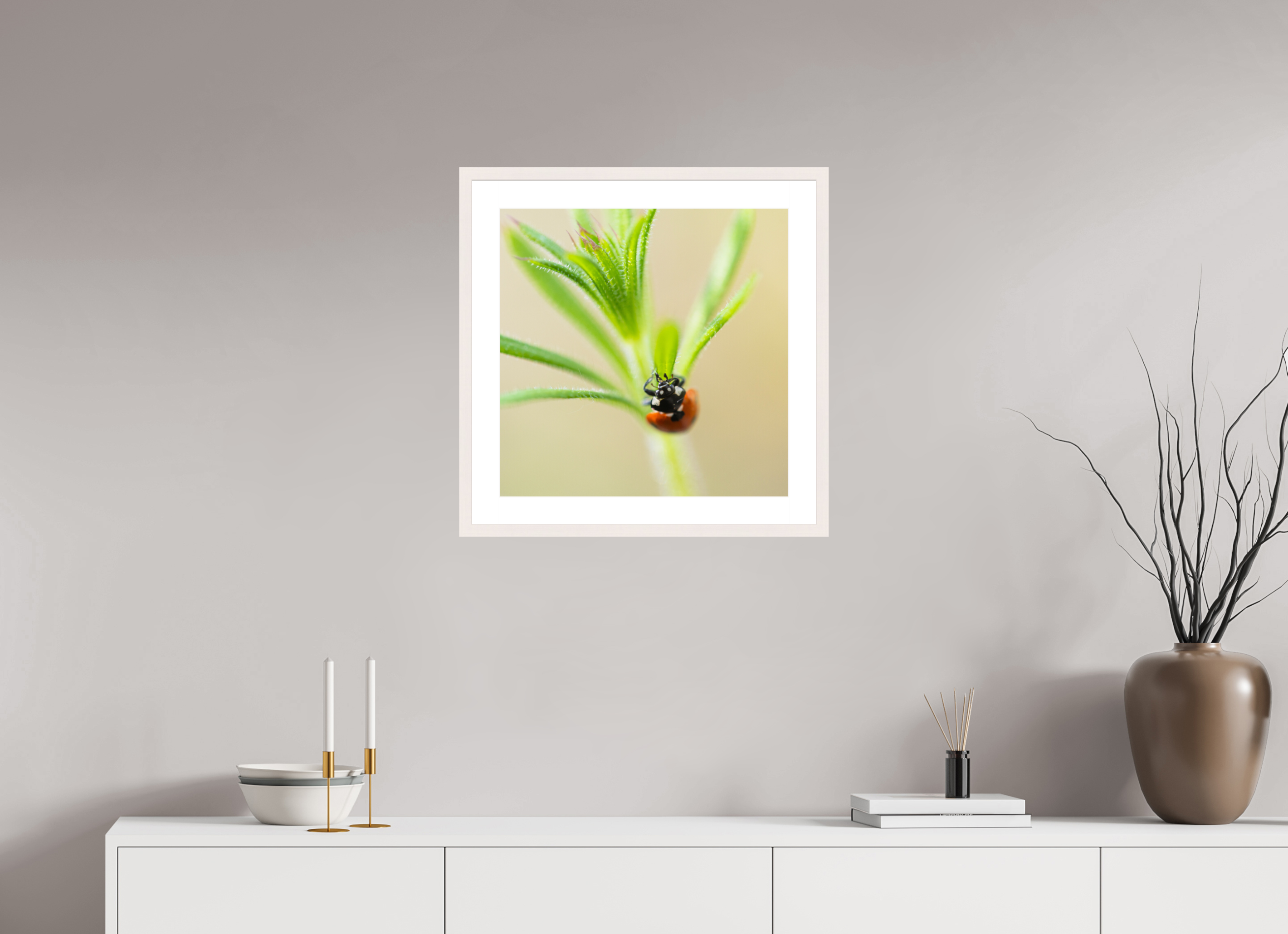 LadyBug