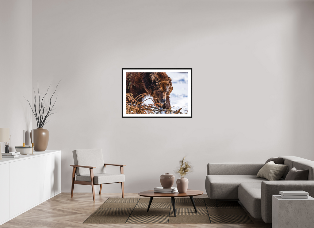 Alaskan Grizzly Bear Wall Art Example - Perfect Captures Photography