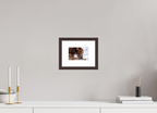Alaskan Grizzly Bear Wall Art Example - Perfect Captures Photography