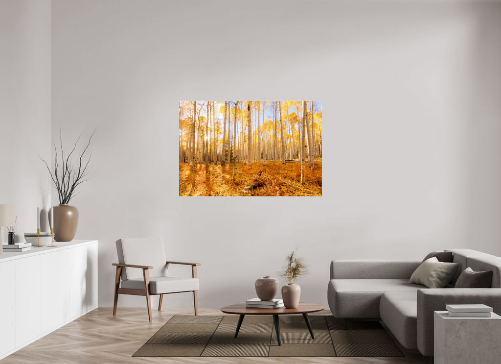 150 x 100 cm, Photo Print Under Acrylic Glass Golden Aspen Trees Fine Art