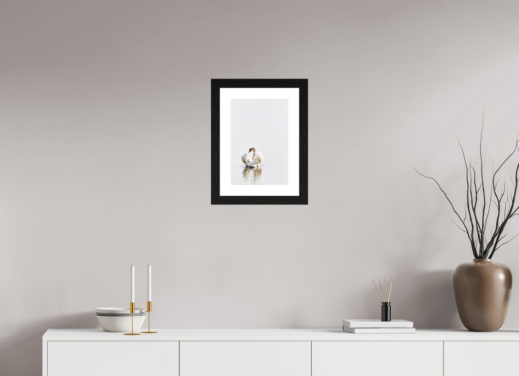 25 x 37.2 cm, Hamburg 40 mm frame Swan at Dawn