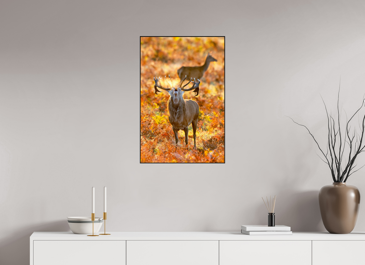 50 x 75 cm, Solid Wood Artbox deer rut