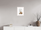 20 x 30 cm, White Frame Gannet Strut