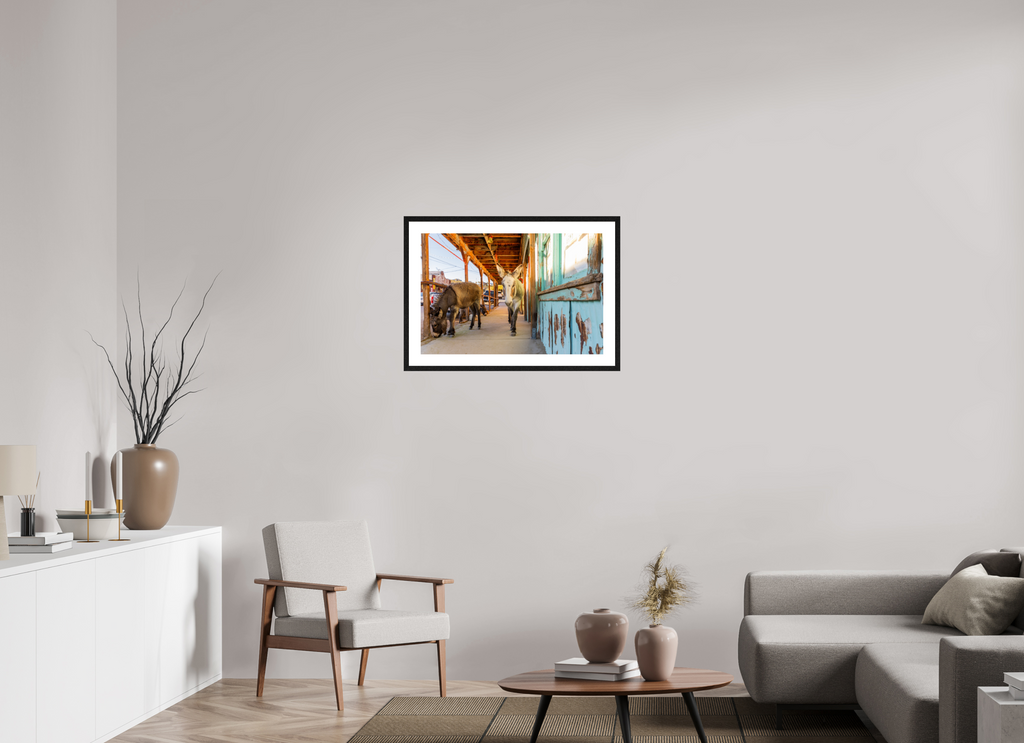75 x 50 cm, Black Frames Burros of Oatman