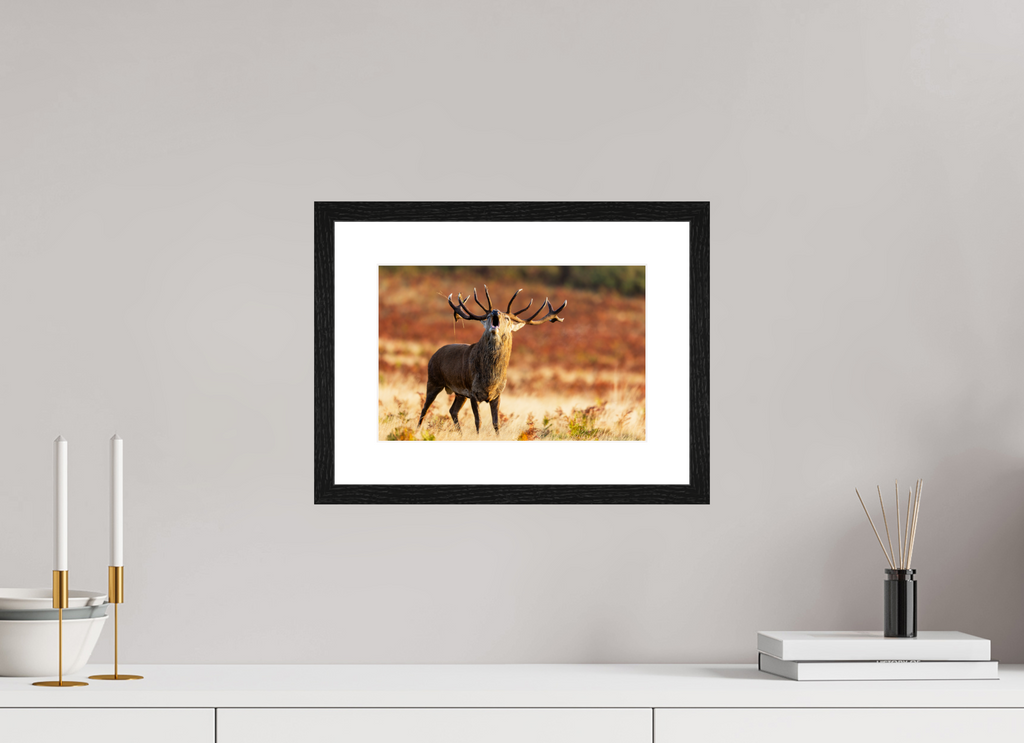 30 x 20 cm, Black Frames deer