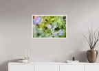 75 x 50 cm, White Hamburg Frame Dreamy Bee